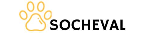 logo-socheval